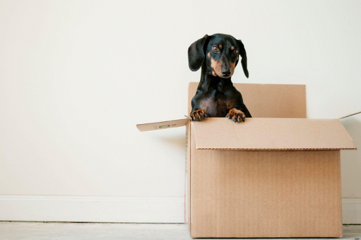 The Lost and Found Box: the Students’ Bermuda Triangle