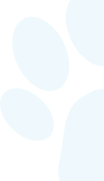 foot-vector